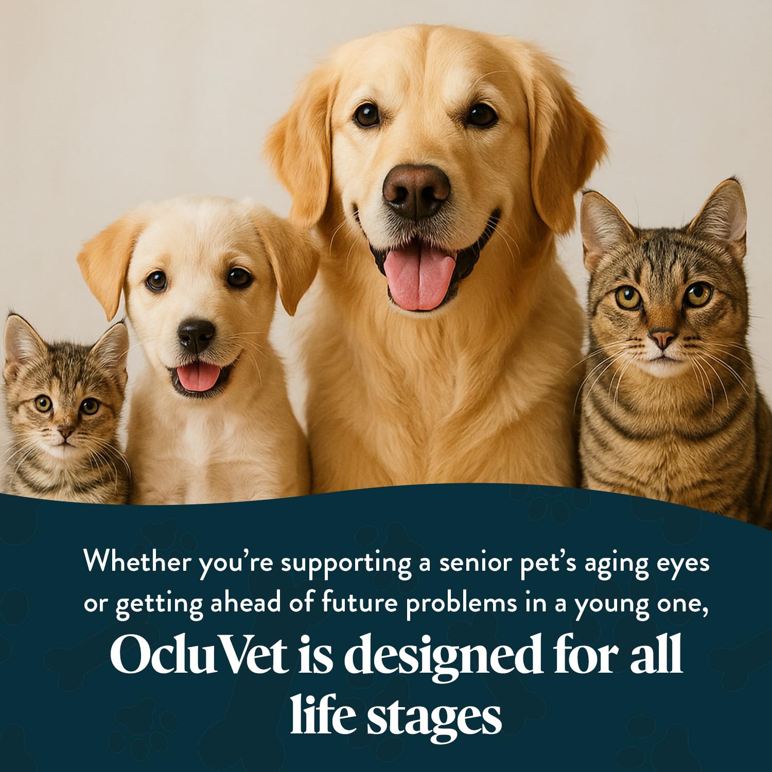 OcluVet Vision Chews Eye Supplements for Dogs & Cats, 15 Count — Amazon image 5