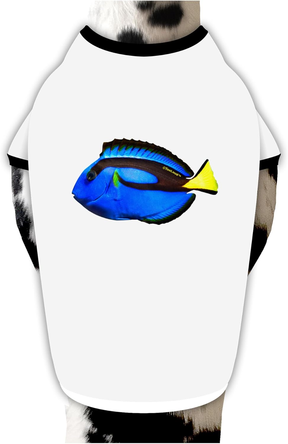 TOOLOUD Blue Tang Fish Dog Shirt White with Black XL
