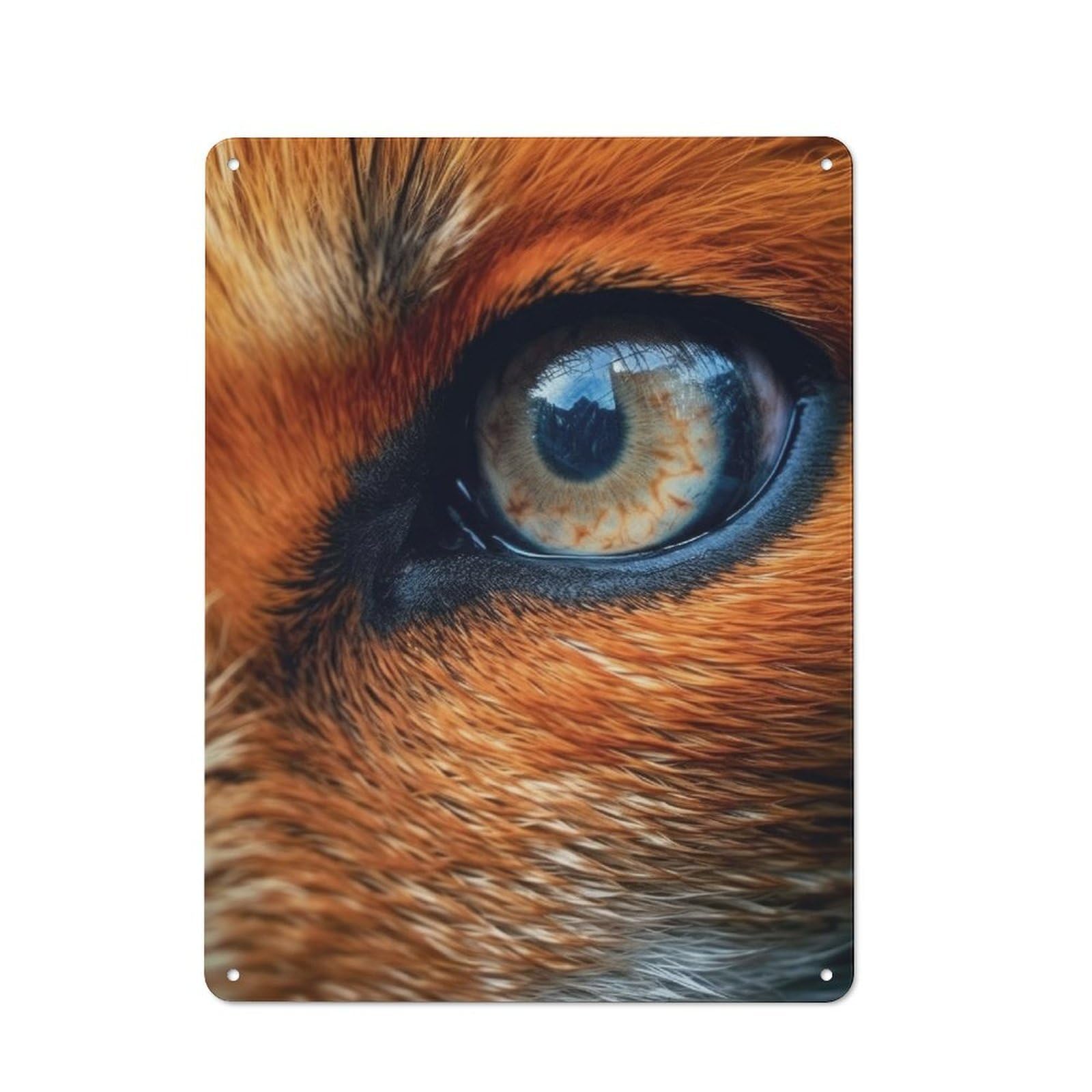 Junmoney Fox Eye Vintage-Inspired Tin Sign 40X30cm For Garage Or Workshop, For Garage, Workshop And Man Cave Decoration