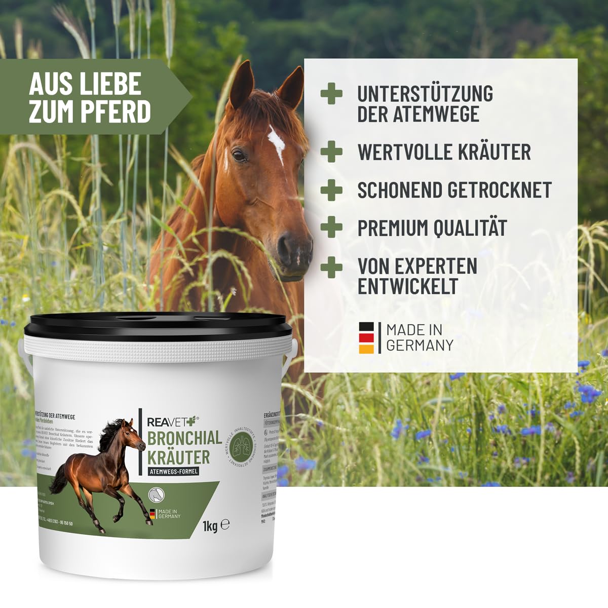 ReaVET Erbe bronchiali cavallo 1 kg – erbe naturali per tosse e naso che cola, erbe respiratorie cavalli come alimento complementare, erbe per la tosse per le vie respiratorie libere