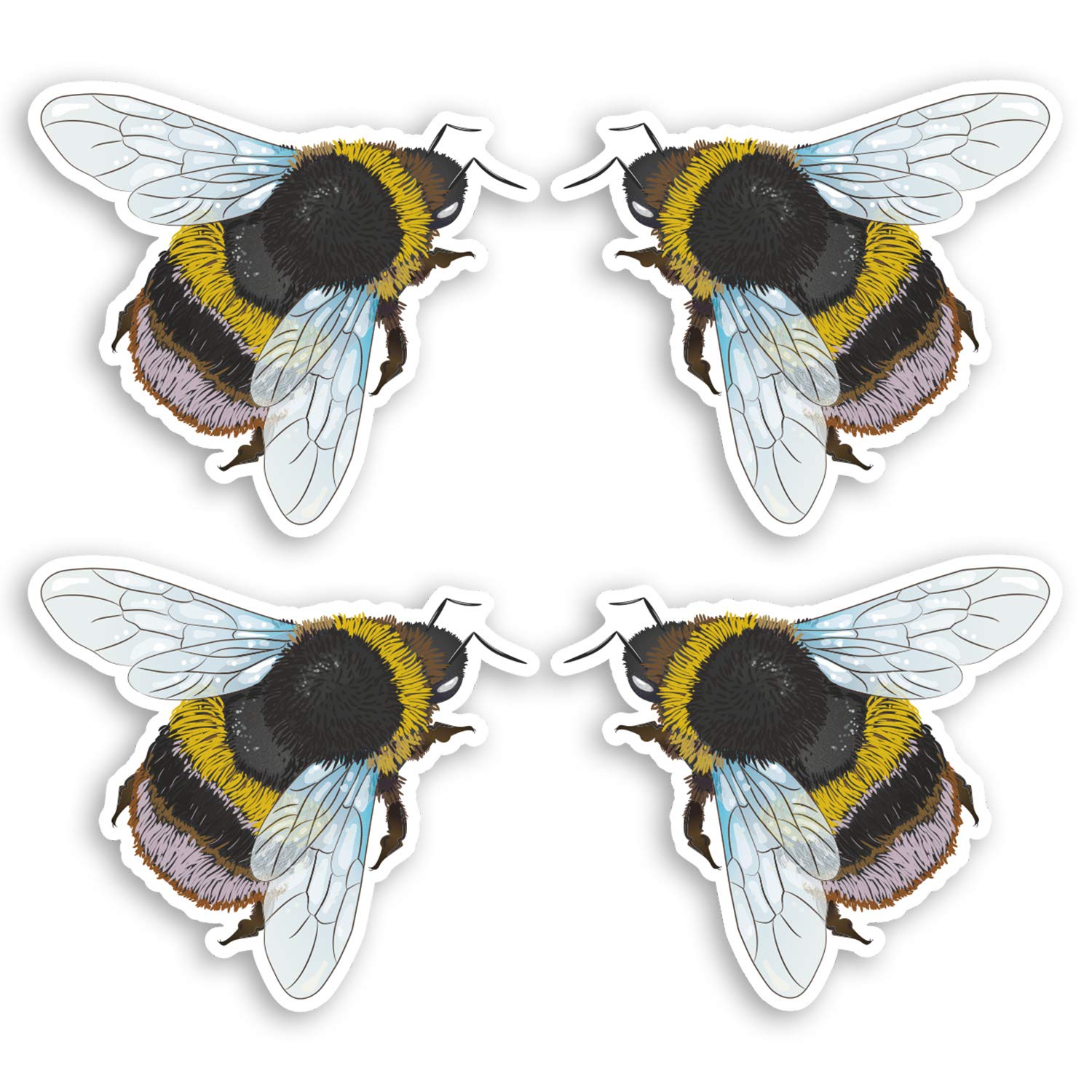 Destination Vinyl Ltd Multi 4 X Bumble Bee Vinyl Stickers - Insect Kids Science Nature Sticker #34609_5Cm (5Cm Wide (X4))