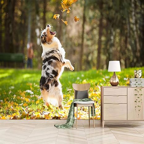 Amazon Wsszlh 剥がせる壁紙 葉と犬 壁紙 おしゃれ はがせる 壁紙 シート 壁紙シール はがせる おしゃれ 壁紙 防水防油 剥がせる 賃貸 マットタイプ 耐熱 浴室 キッチン トイレ 家具 テーブル リフォーム 1x127 Cm Diy 工具 ガーデン Amazon Wsszlh 剥がせる壁紙 葉と犬 壁紙 おしゃれ はがせる 壁紙 シート 壁紙シール はがせる おしゃれ 壁紙 防水防油 剥がせる 賃貸 マットタイプ 耐熱 浴室 キッチン トイレ 家具 テーブル リフォーム 1x127 Cm Diy 工具 ガーデン