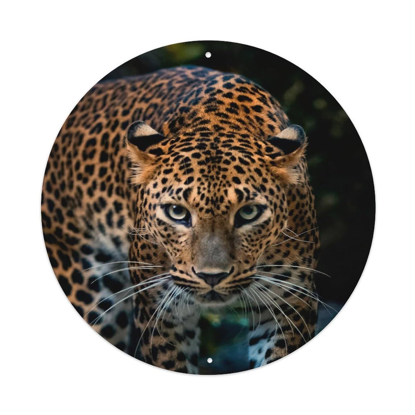 Big Cat Hunting Poster Cheetah Cougar Leopard Metal Tin Sign