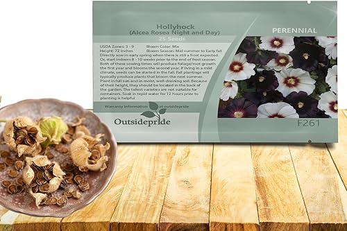 Outsidepride Perennial Alcea rosea Noche y Día Hollyhock Garden Flower Seeds - 25 Semillas