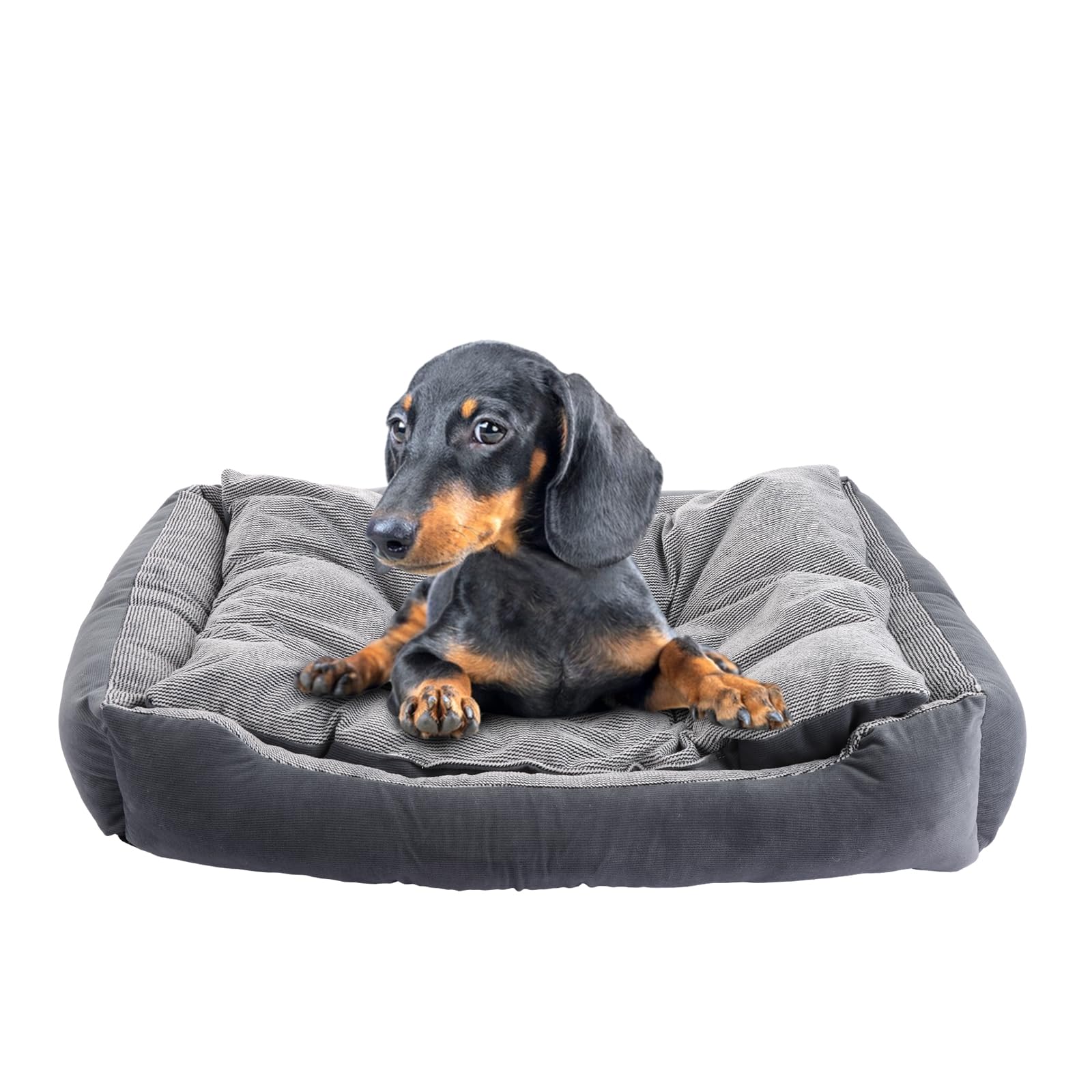 ASelected Medium Dog Bed, 70x50x11cm Washable Cat Beds with Anti-Slip Bottom, Indoor Puppy Bed, Orthopedic Dog Beds Soft Pet Sofa Bed for Pet Dog Cat - Grey