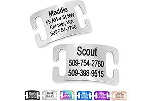 GoTags Personalized Slide-On Pet ID Tags: Keeping Your Furry Friends Safe and Stylish