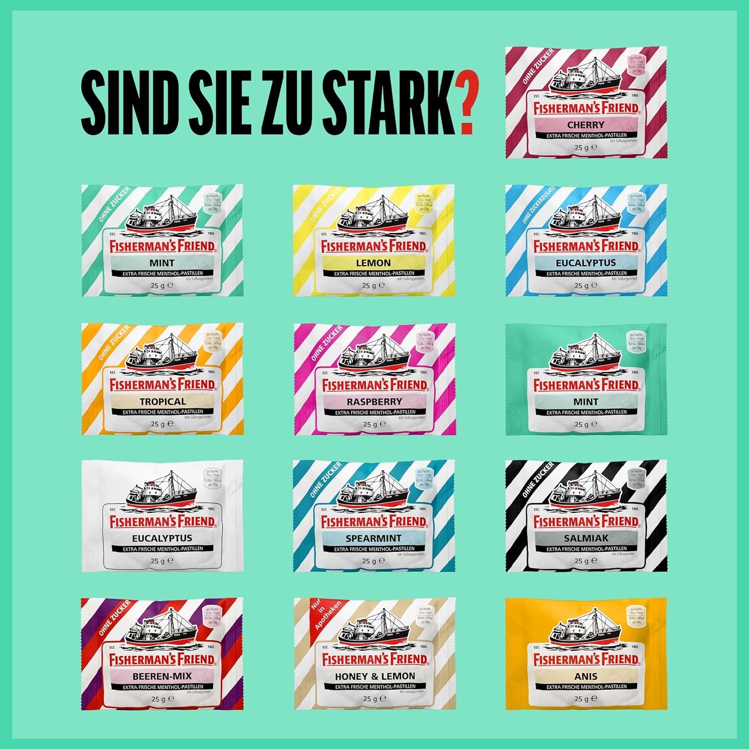 Fisherman's Friend Mint, 24er Vorratsbox, Pfefferminze und Menthol Geschmack, zuckerfrei & vegan, Bonbons für frischen Atem, 24 x 25g
