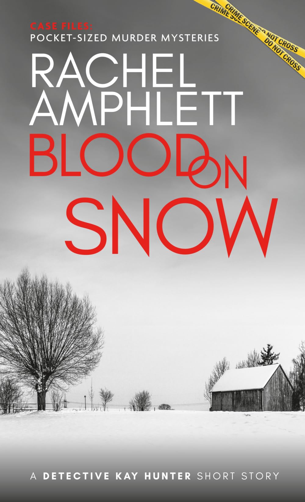 Blood on Snow: A Detective Kay Hunter short story (Case Files: pocket-sized murder mysteries)