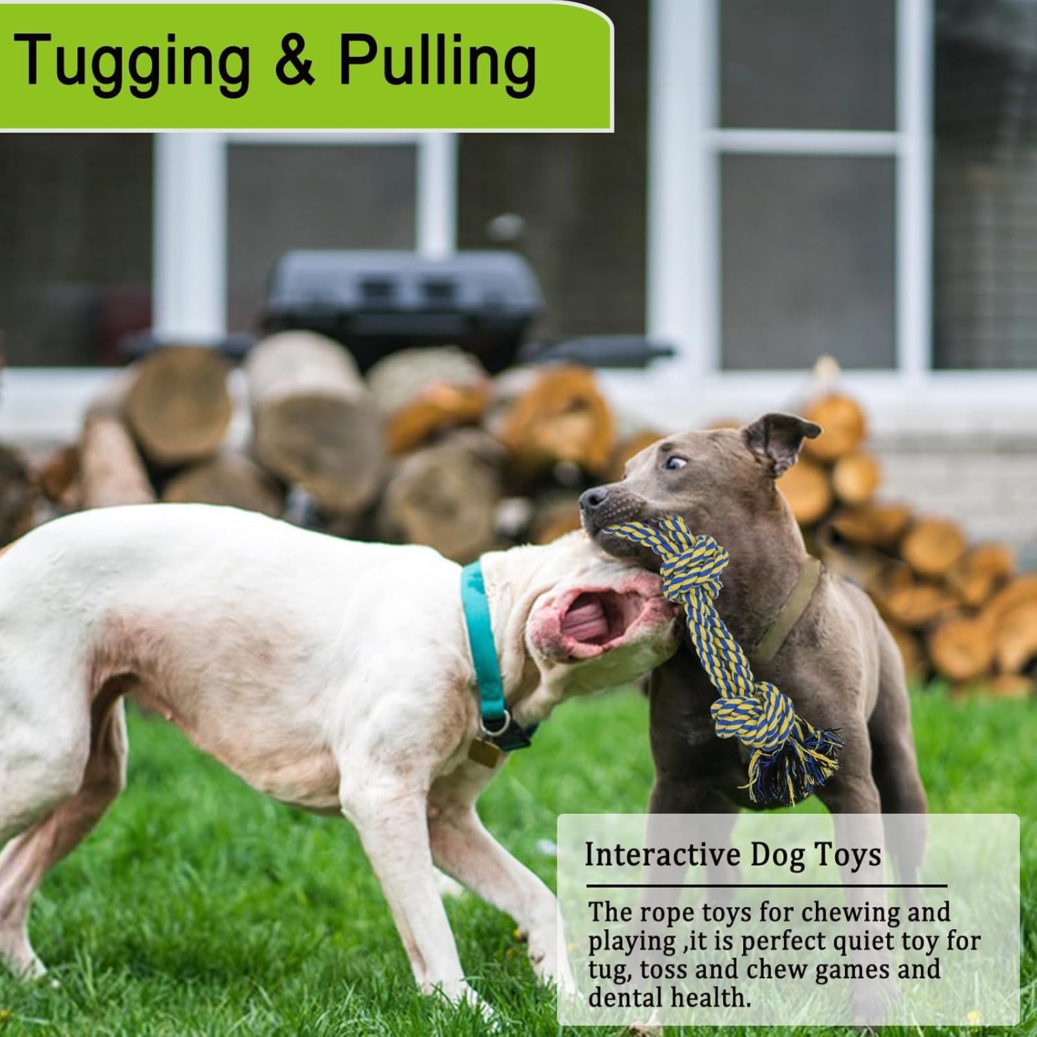 Juguete elástico para Perros, Juguete para Perros Colgando del árbol, Juguete Interactivo Duradero de Cuerda para Perros con señuelo para Masticar, Tira y afloja al Aire Libre para Perros
