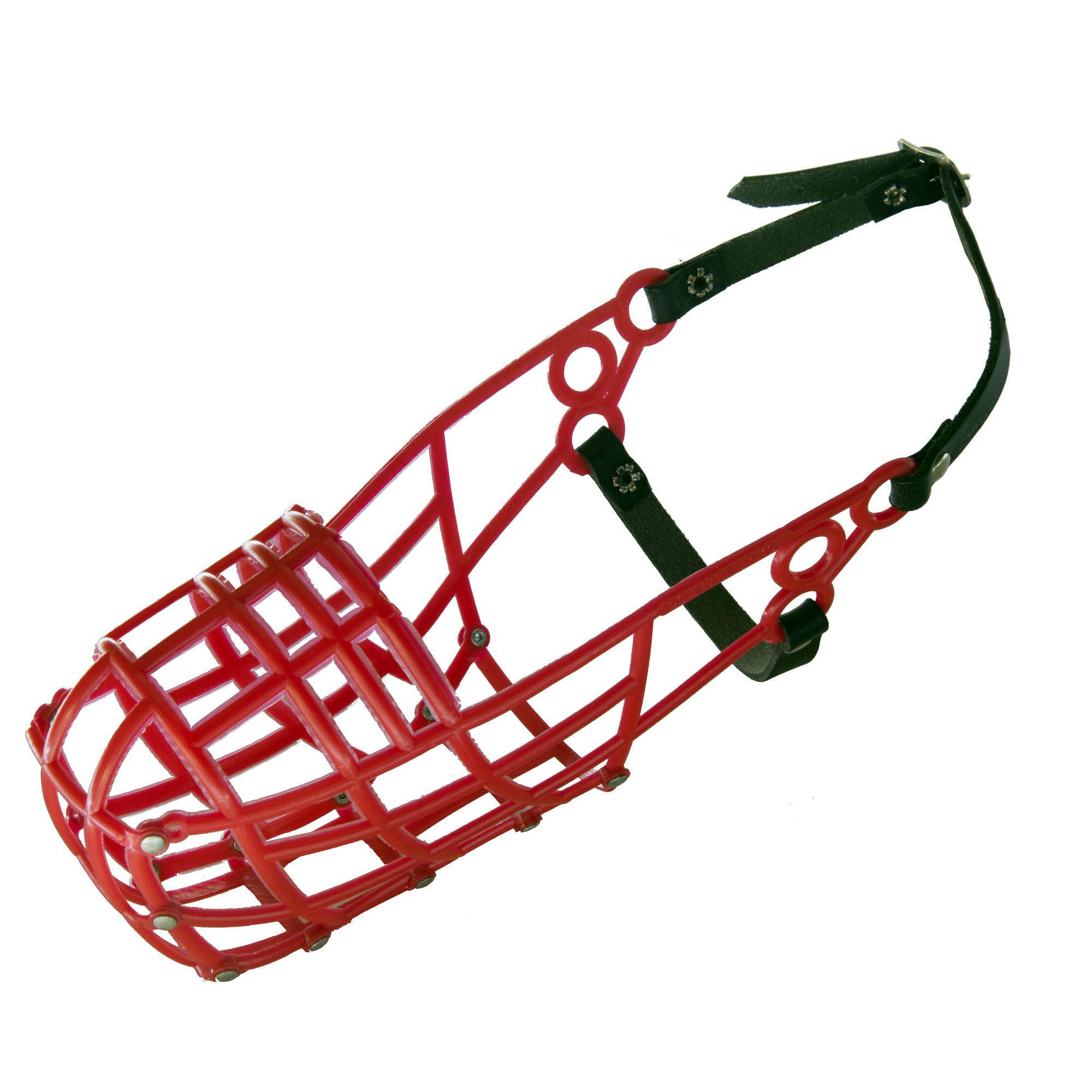 greyhound box muzzle