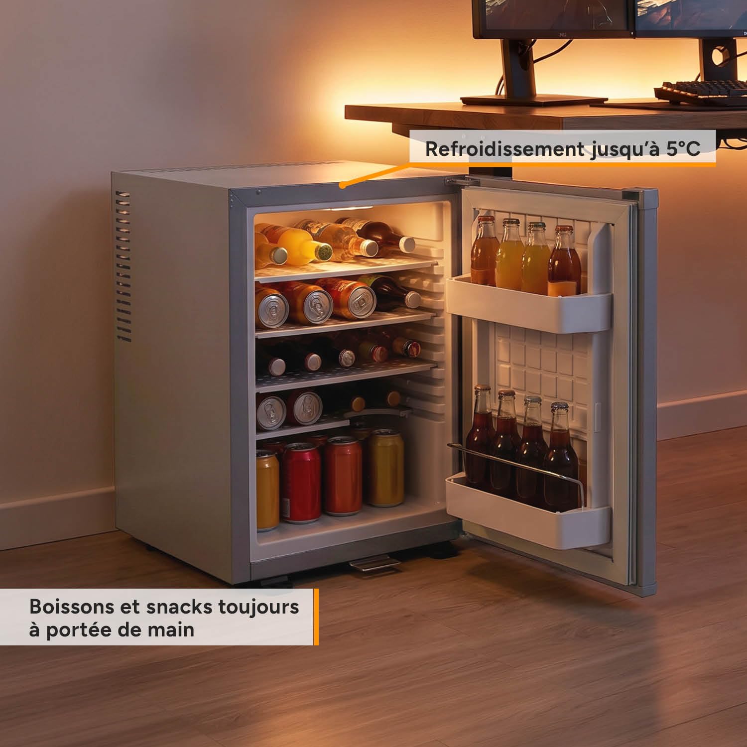 TZS First Austria - Silent 40L mini fridge - Small mini fridge with reversible door and interior light - Minibar for camping, office, bedroom & hotel - Grey