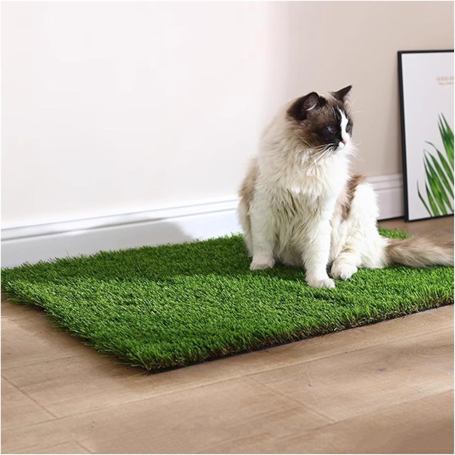 Gazon artificiel de 2 cm pour jardin et aire de jeux extérieure