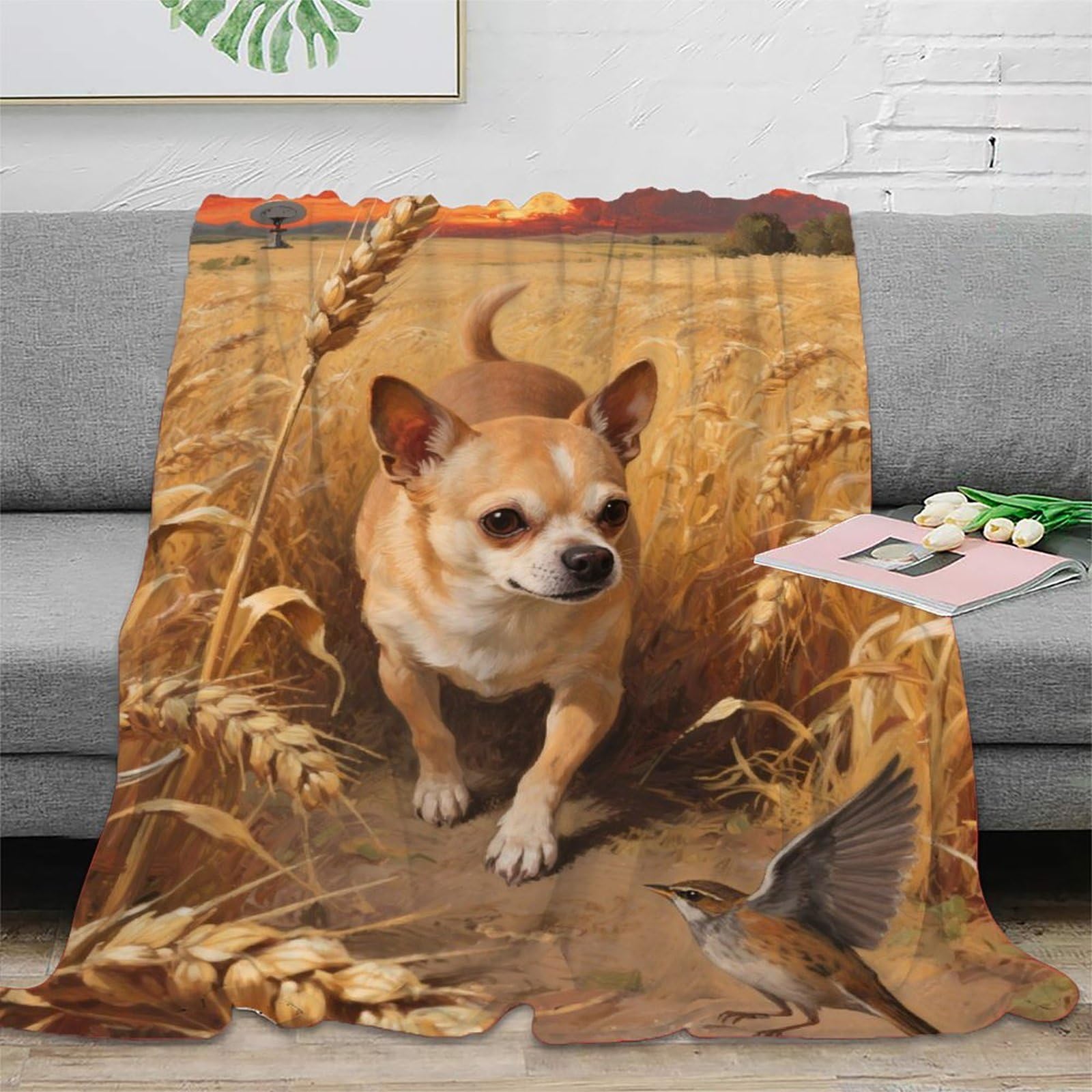 Chihuahua Home Throw Blanket for Couch Or Bed Blankets - Cozy Soft Lightweight Fuzzy Suitable for All Seasons Gifts 40x50inch(100x130cm)