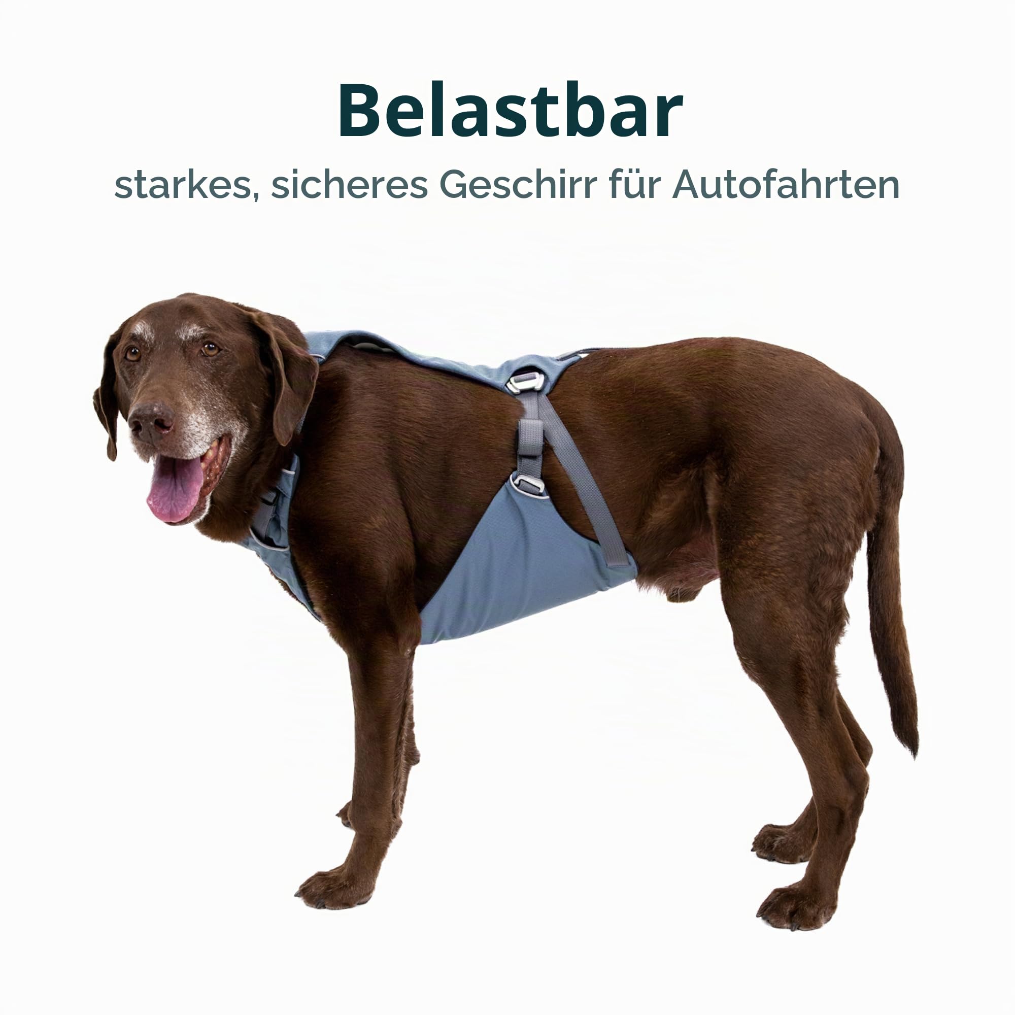 RUFFWEAR, Load Up Hundegeschirr, Schieferblau, Größe XXS