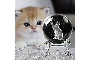 3D Cat Crystal Ball: A Mystical Reflection of Love and Beauty
