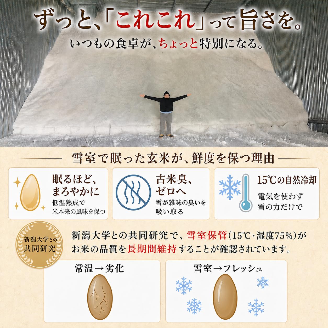 Amazon.co.jp: 【玄米入門】これこれ 食べやすい ゆめぴりか 北海道産