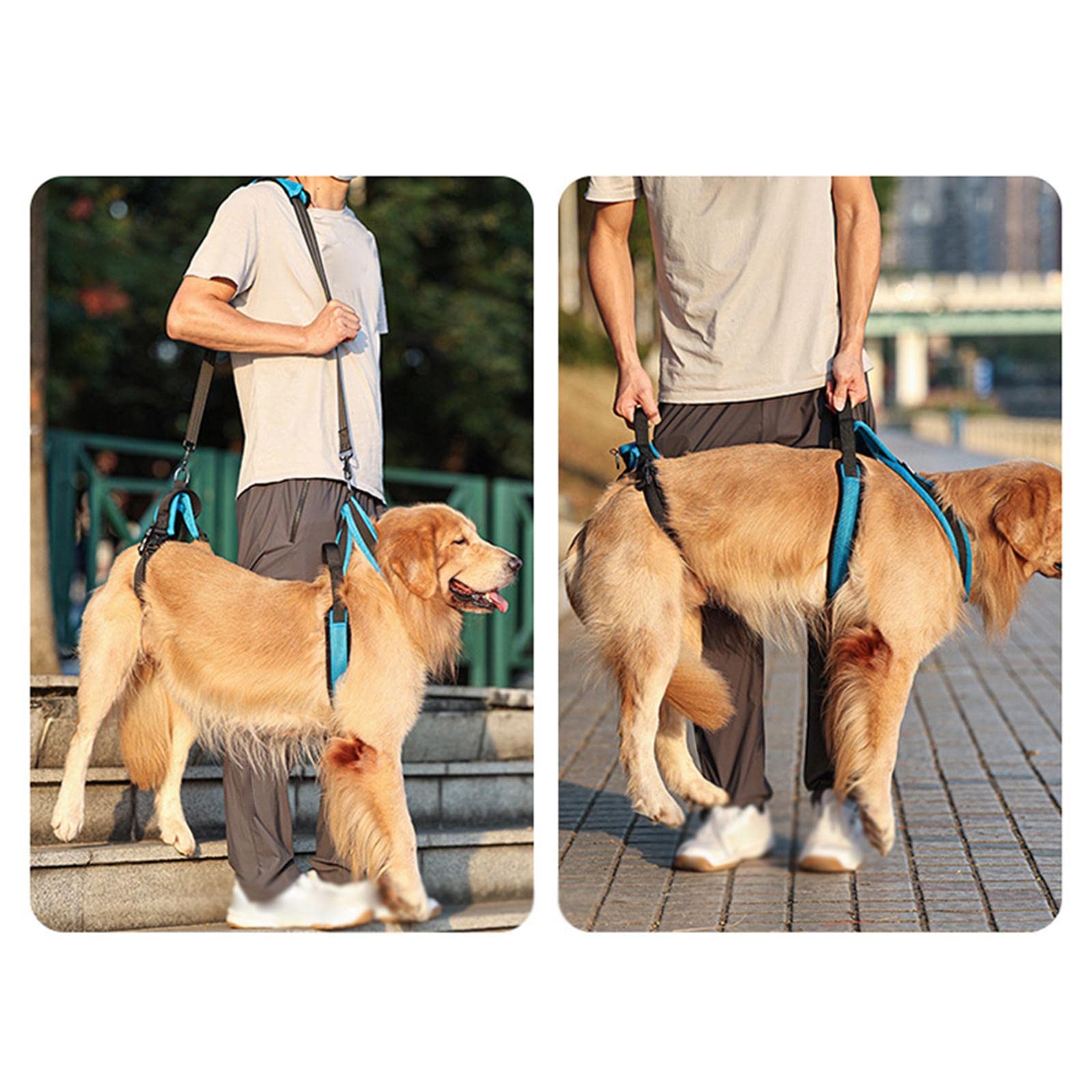 Arnés para Perros Arnés de Apoyo Ajustable Arnés de Asistencia para Patas Traseras Correa de Ayuda para Mascotas Material Poliéster Suave Adecuado Par, s