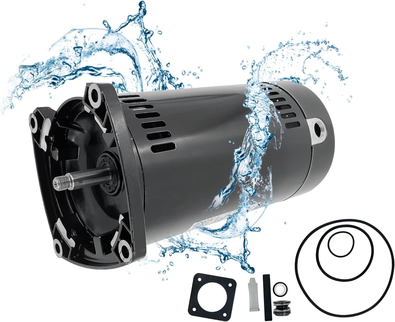 USQ1152 ASQ165 EUSQ1152 Swimming Pool Pump Motor Single Speed Replacement Motor Kit AO Smith PuriTech Century 1.5 HP