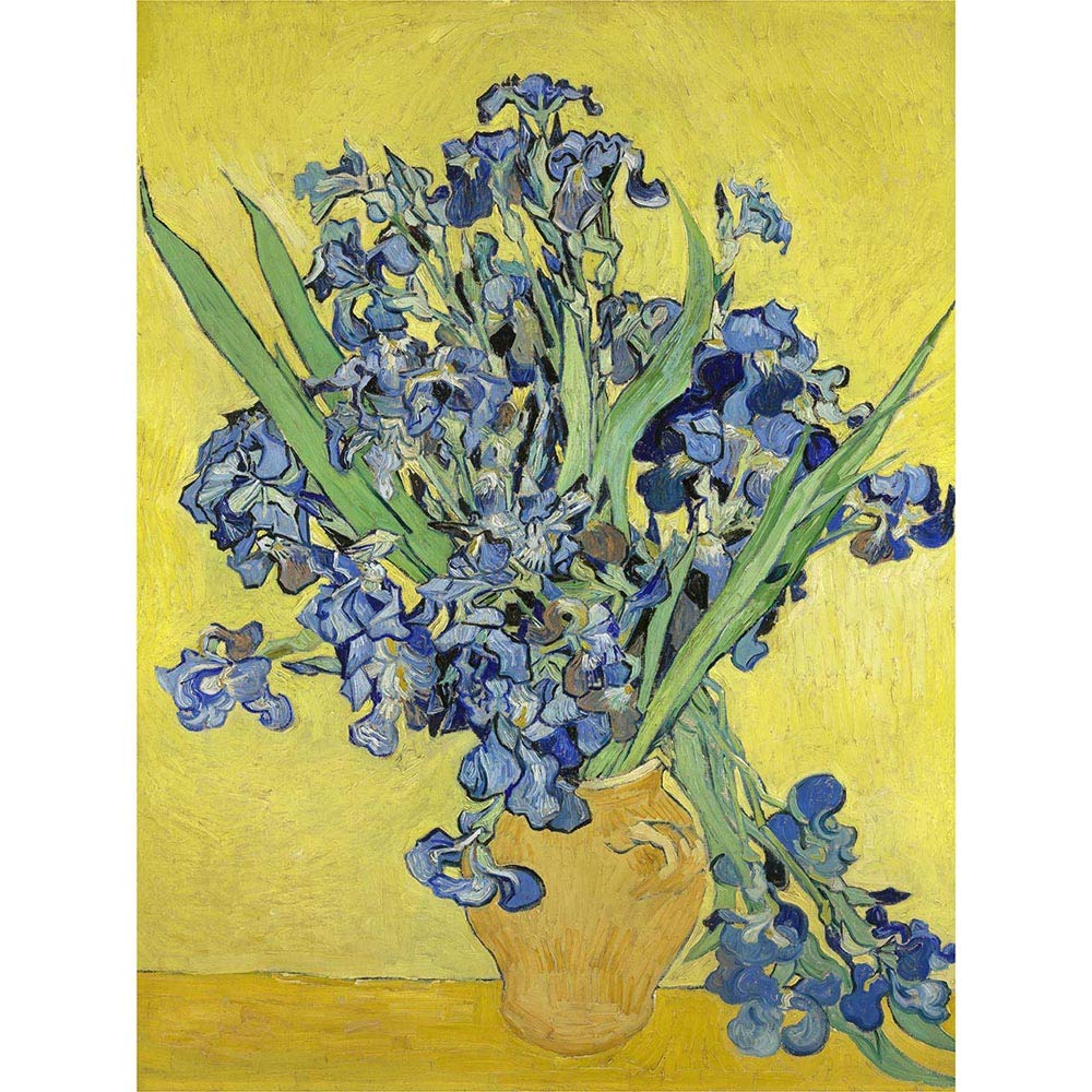 Van Gogh Irises Painting Art Print Poster Wall Decor 12X16 Inch
