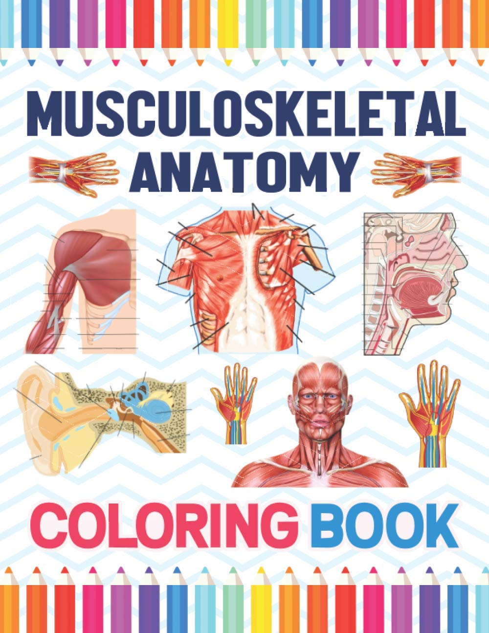 Musculoskeletal Anatomy Coloring Book: Musculoskeletal Anatomy Coloring Work book for Medical and Nursing students.Children's Science Books.Muscular & ... Coloring Book for Kids Boys Girls Teens