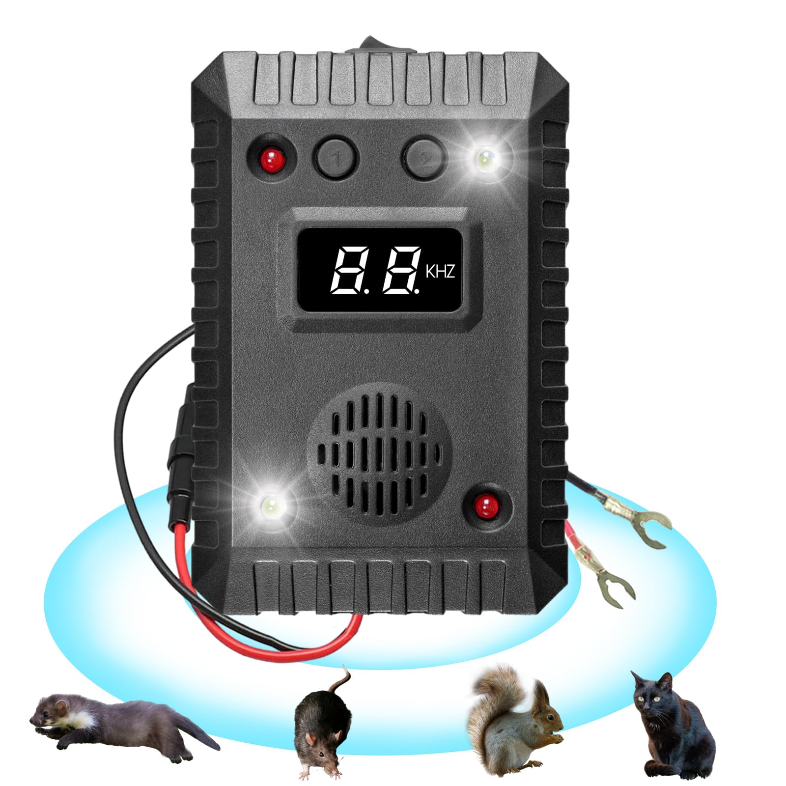 Anti souris et rats pour voiture : protégez votre moteur des pannes