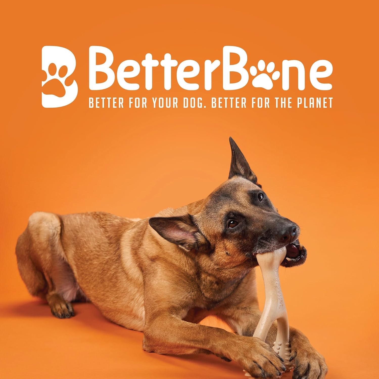 BetterBone - Giocattolo per cani da masticare – Large Hard Classic – Veggie Ossa da masticare per cani senza nylon e OGM a base di cellulosa – Giocattolo da masticare extra duro – gusto neutro – Senza