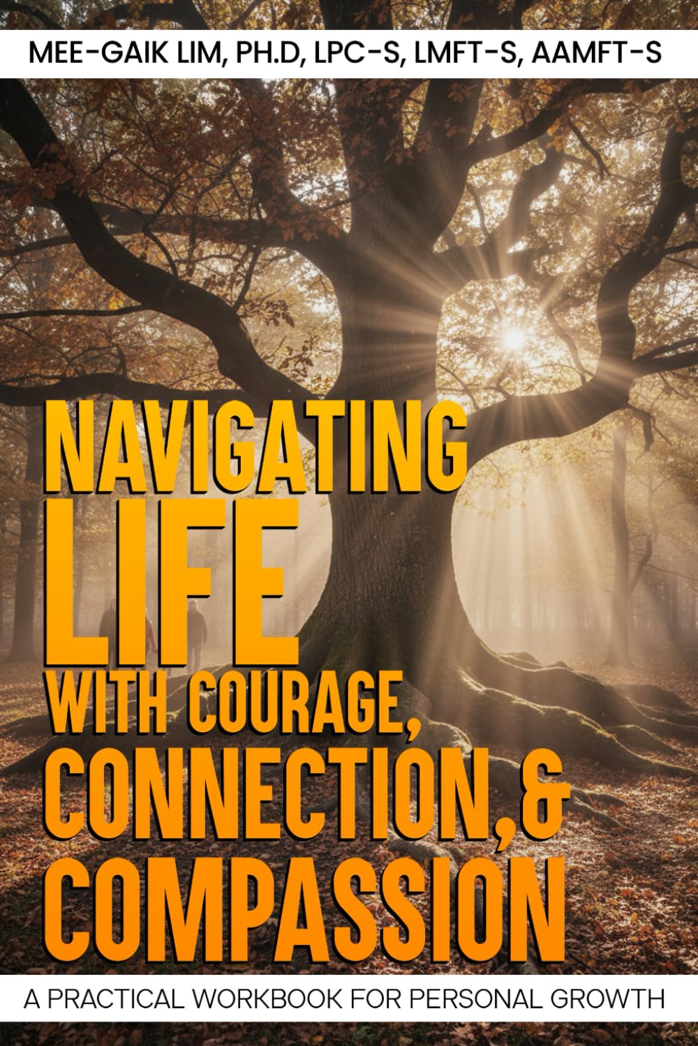 Navigating Life with Courage, Connection, and Compassion: A Practical Workbook for Personal Growth