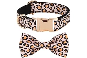 Leopard Print Cheetah Dog Collar for Fashionable Pups