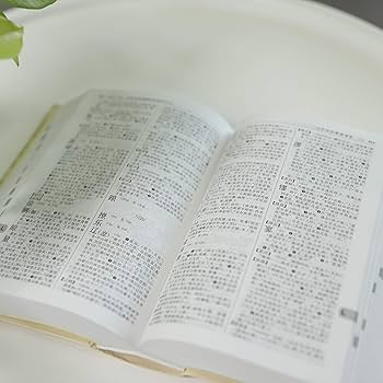 Amazon | 古代汉语词典（精装）(第2版) | 商务印书馆辞书研究