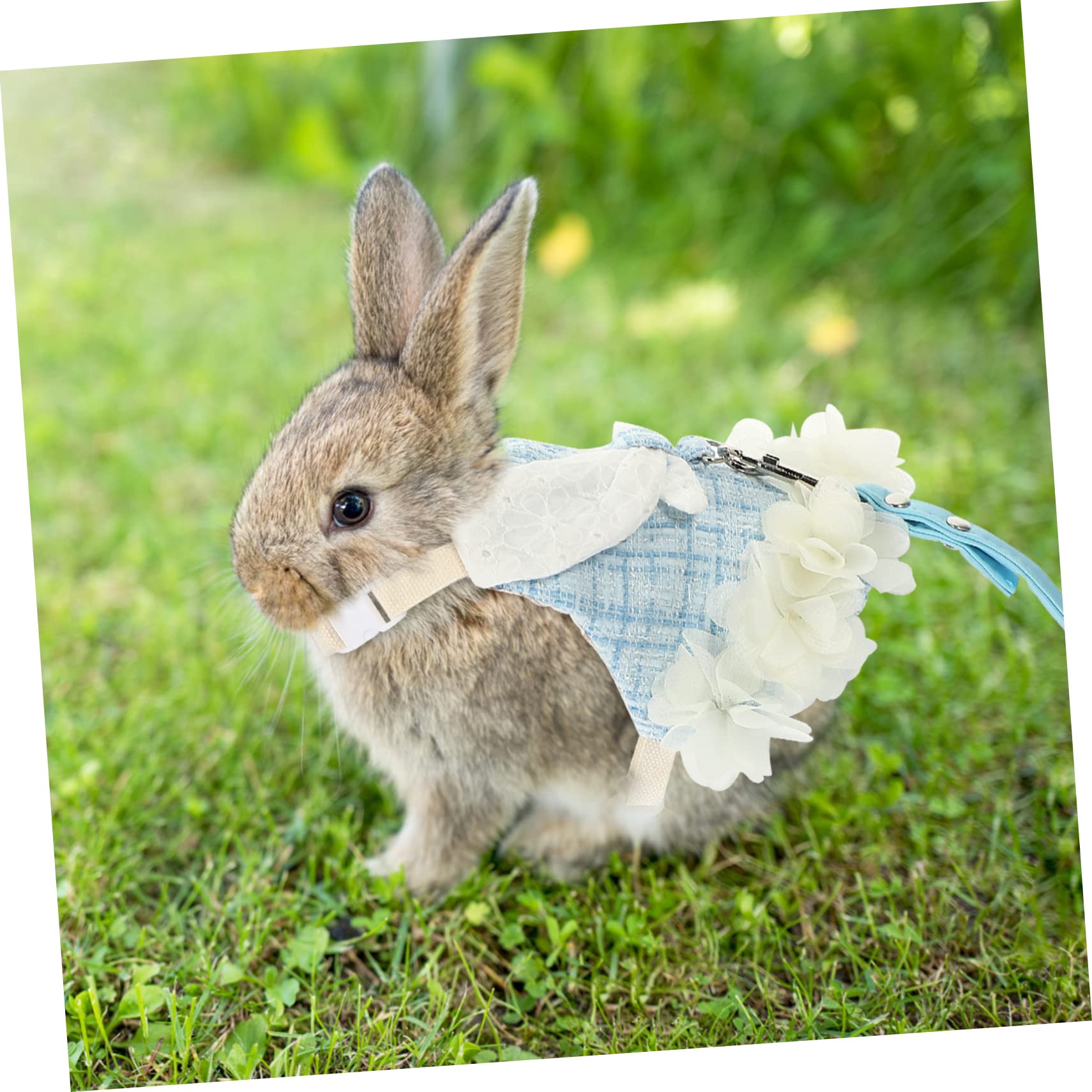 VANZACK 3sets Per Coniglio Con Guinzaglio Abbigliamento e Accessori Per Piccoli Animali Da Esterno Design Traspirante e Leggero Perfetta Per Festività e Passeggiate