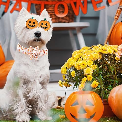 Miniatura 5 de Elegant little tail Collar de Halloween para perro, collar de calabaza de Halloween con flores para niñas, collar para mascotas, collar de flores