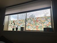 Review Image by Jollene Silver