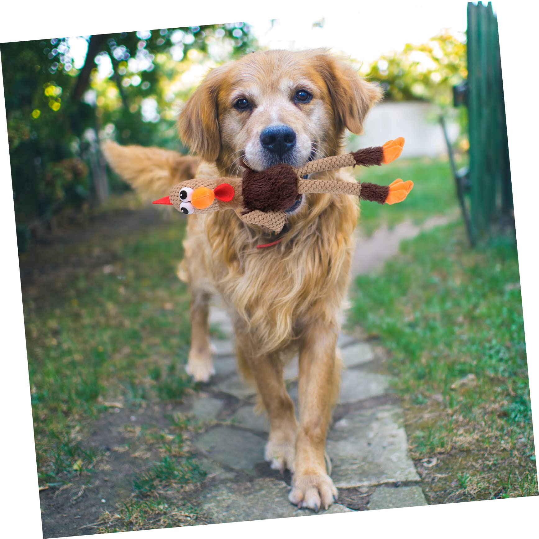 Angoily 3piezas Juguete Masticable para Perros y Gatos Muñeco De Peluche para Limpiar Dientes para Mascotas Pequeñas y Medianas Diversión y Compañía Casa
