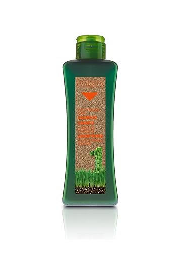 Miniatura 1 de Salerm Biokera Champú para Cabello Tratado - 36.1 ozlitro