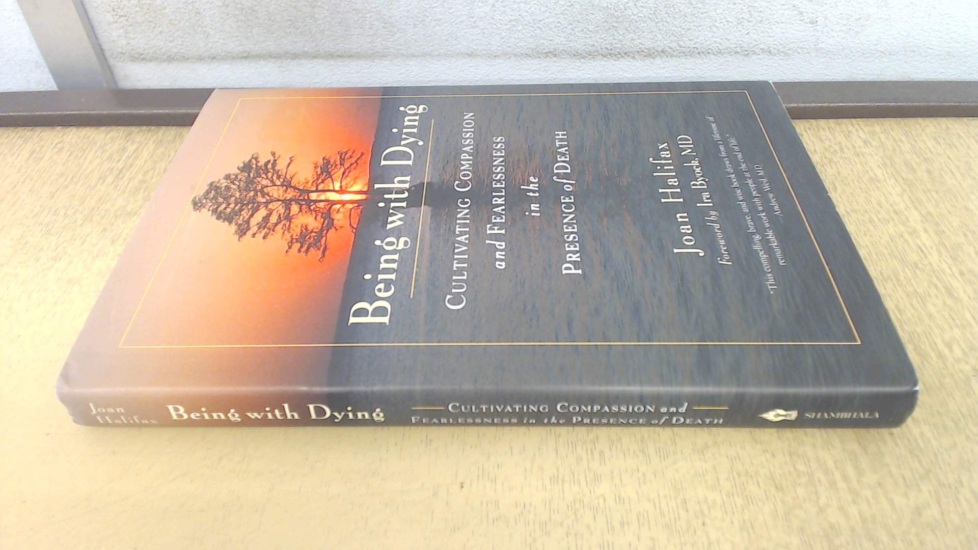 Buy Being With Dying: Cultivating Compassion and Fearlessness in the Presence of Death: A Lifelong Guide to Wellness — BookShops.in