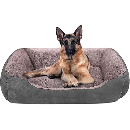firm dog bed