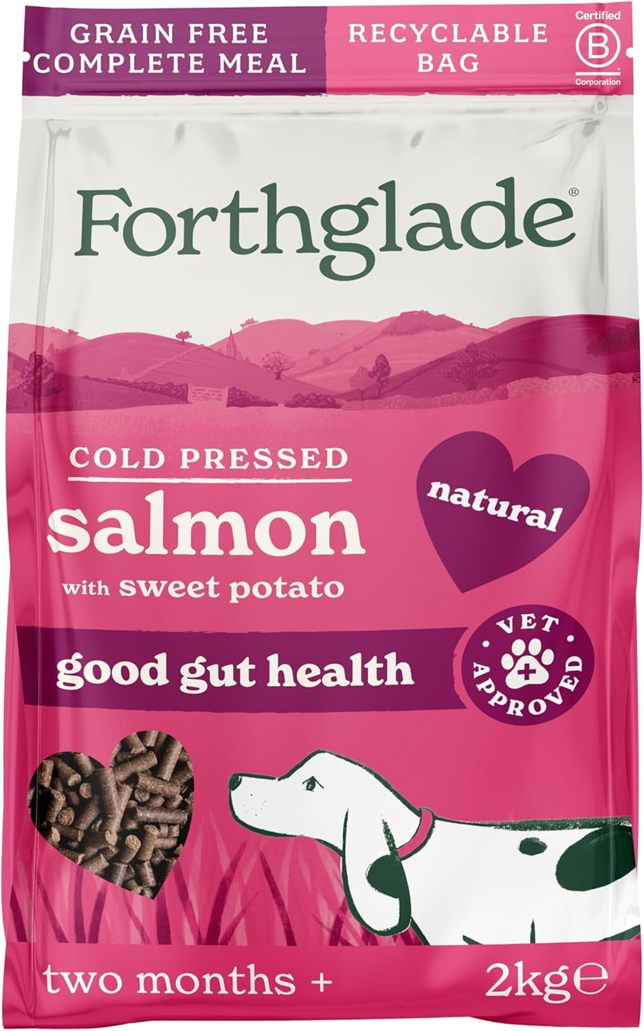 Dry Dog Food, Cold Pressed (2kg), Hypoallergenic and Grain Free Dog Food, Salmon & Vegetables, Natural Senior, Adult and Puppy Meal, Vet Approved For Good Gut Health