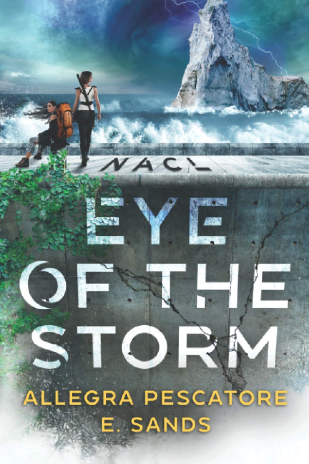 Cover of Eye of the Storm