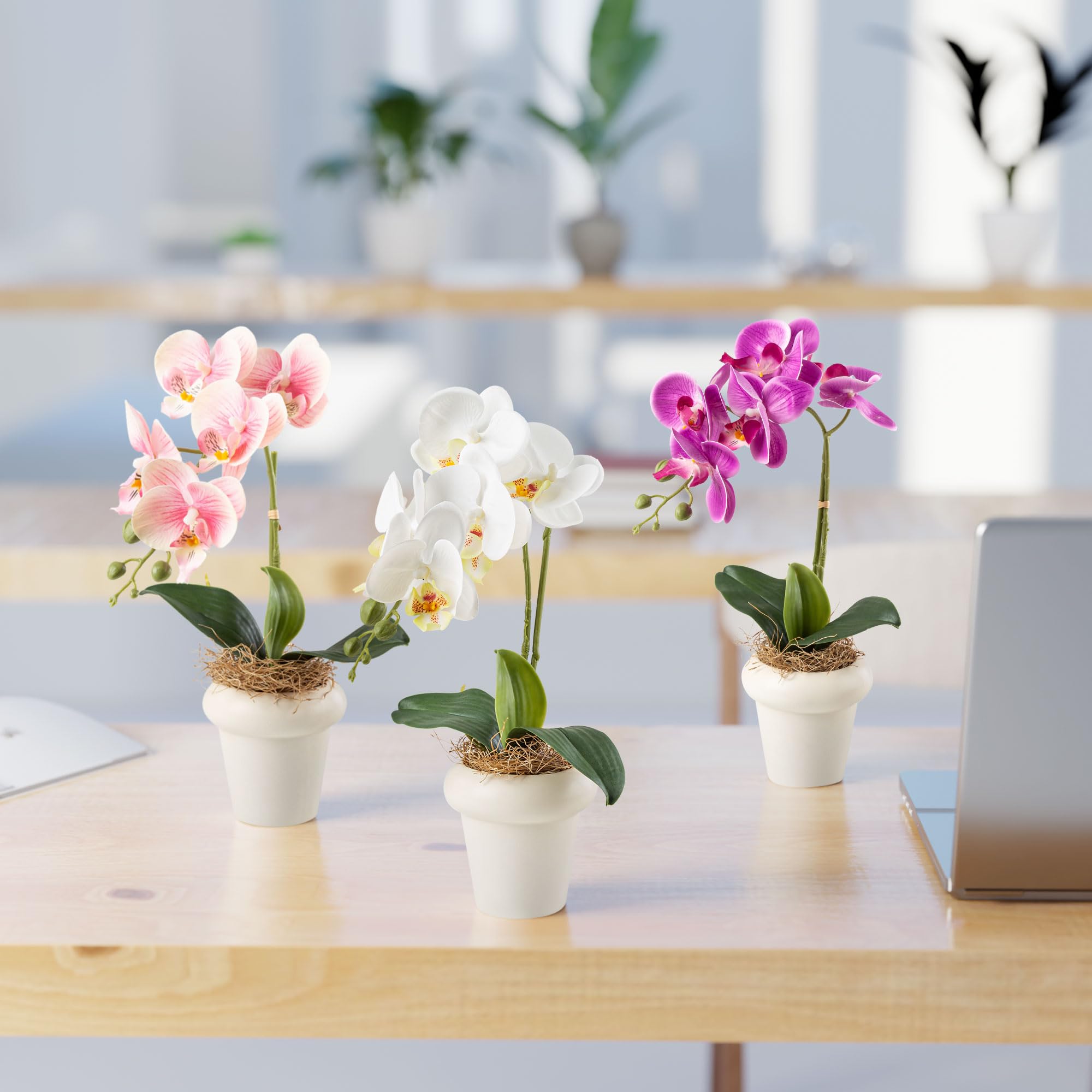 PASCH Orchidées artificielles dans des pots en céramique brillante (36 cm) | Fleurs artificielles en pot | Fleurs artificielles comme de vraies orchidées artificielles en pot (lot de 3)