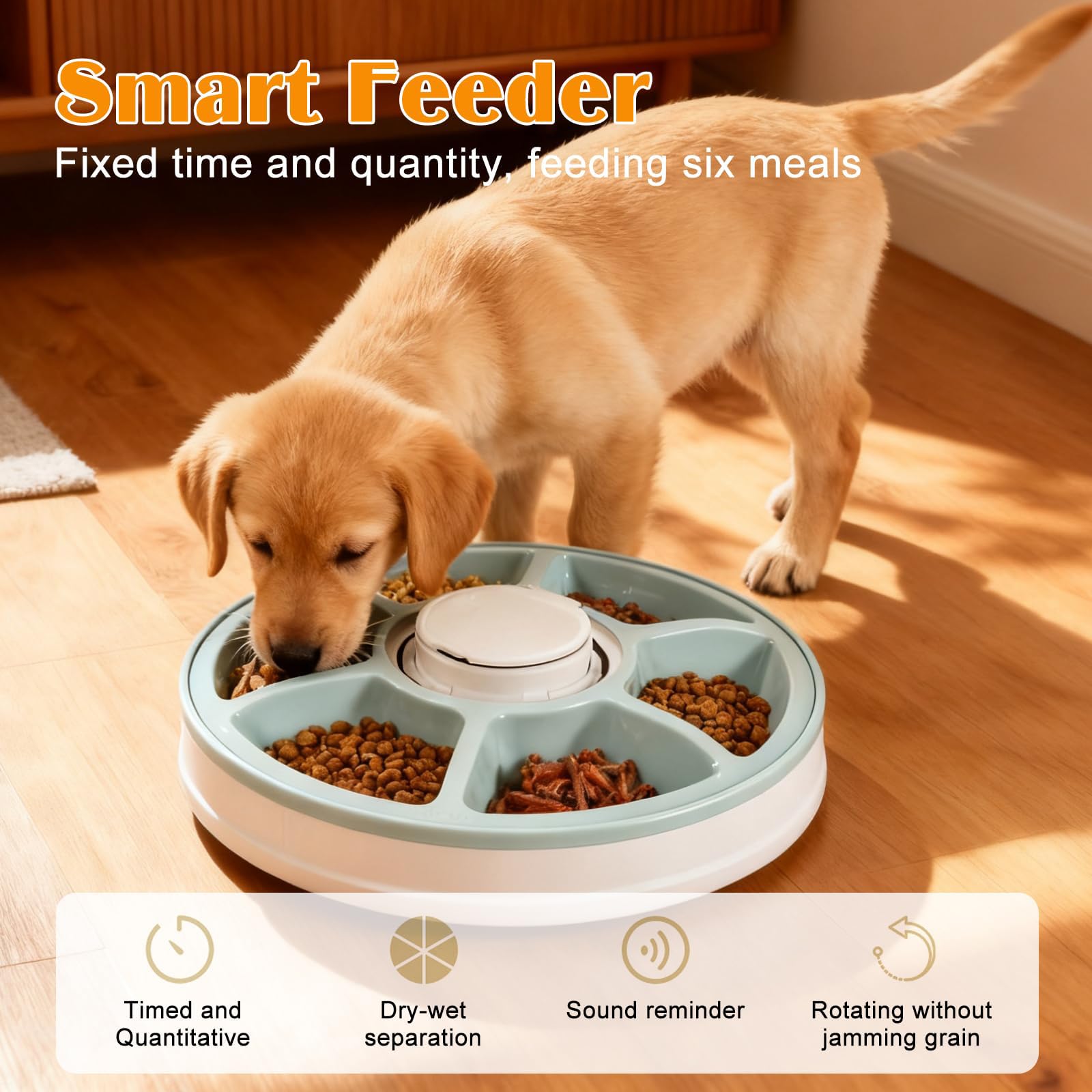 Distributeur Croquettes Chat Automatique, avec Batterie et Minuteur, Distributeur de Croquettes pour Chat avec Refroidissement, sans Fil pour Nourriture Sèche et Nourriture Humide