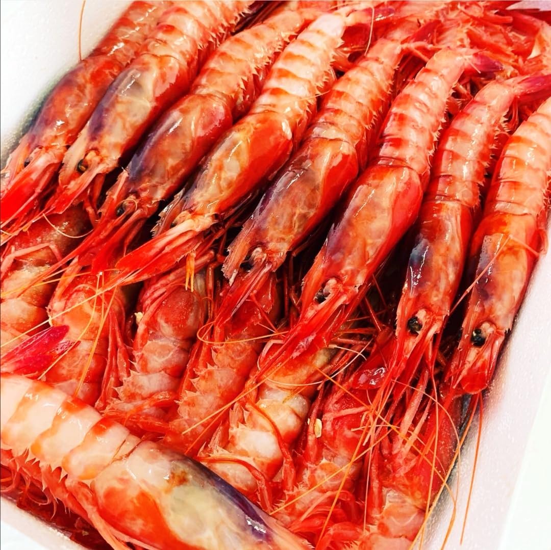 Gerade rote Garnelen, Premium-Fischerei, 1 kg, Fisch und Meeresfrüchte aus Lonja (1 kg, rote Garnelen)
