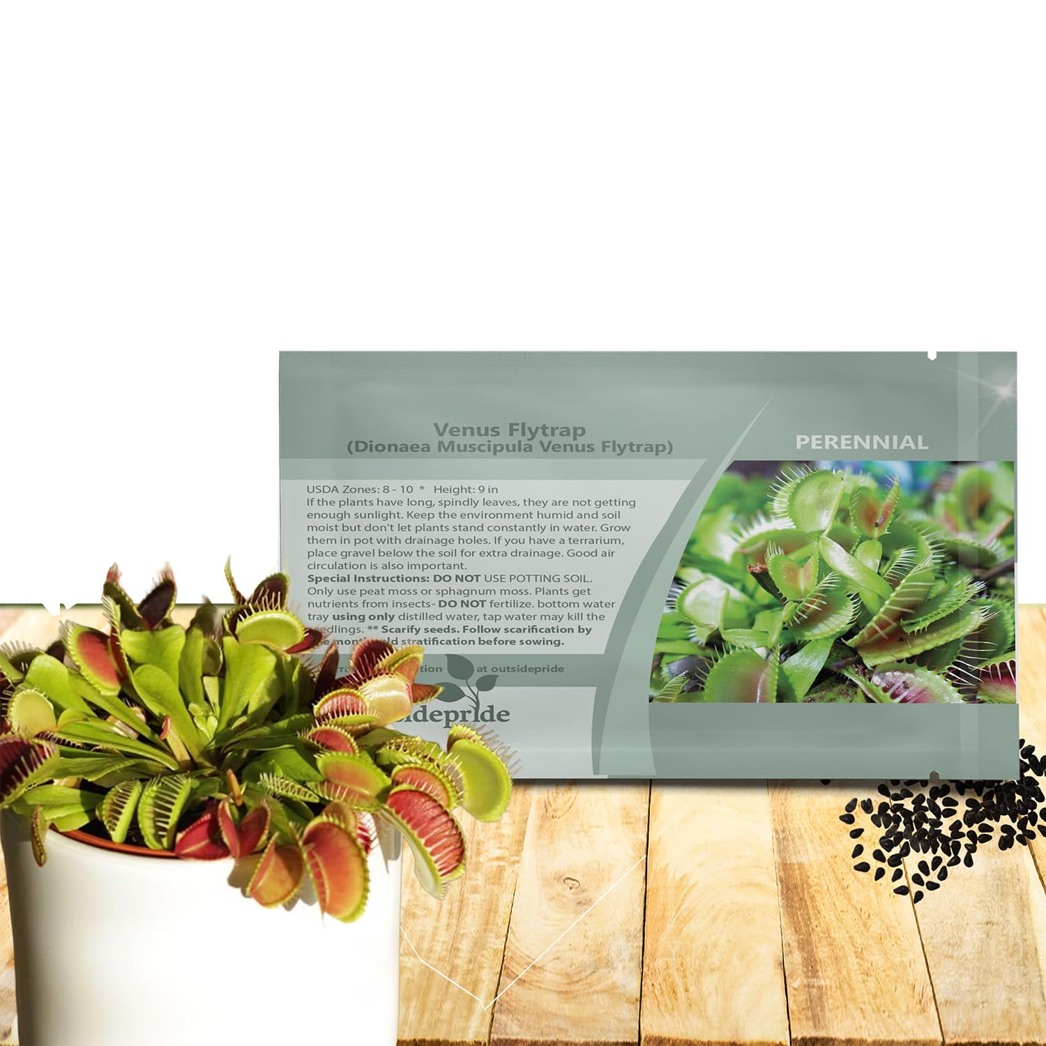 dracaena deremensis janet craig janet craig dracaena United Nursery 10 in. Dracaena Janet Craig Plant in Grower Pot