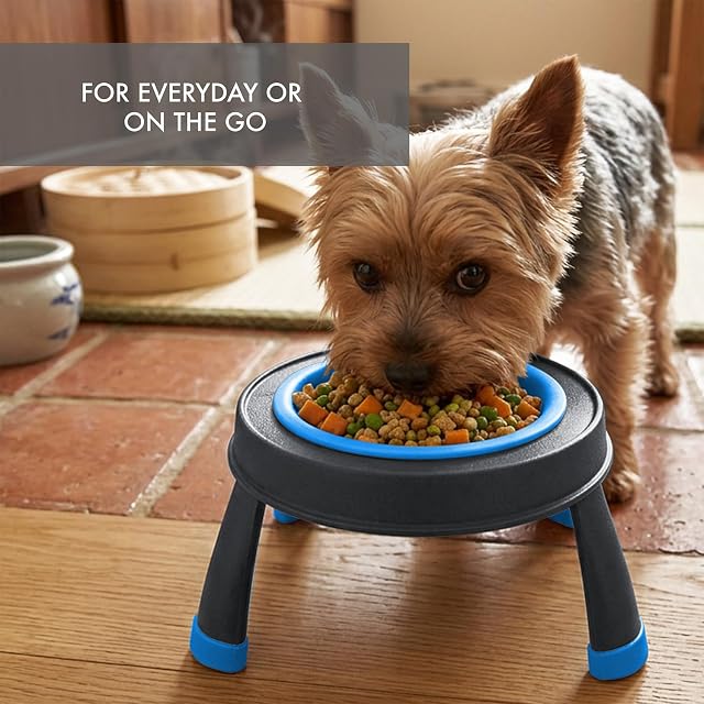 Foto 4 de 7 de Dexas Pets - Comedero Elevado Individual para Mascotas/Cuenco para Mascotas, Capacidad de Taza de I.5, Azul…