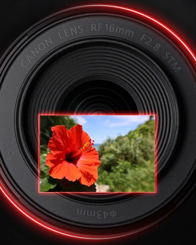 Canon Rf16Mm F2.8 STM Lens, Black : Amazon.in: Electronics