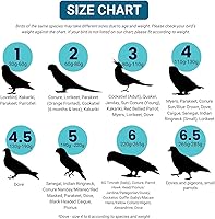 Vista 4 de Candy Stripe Mini Talla 5