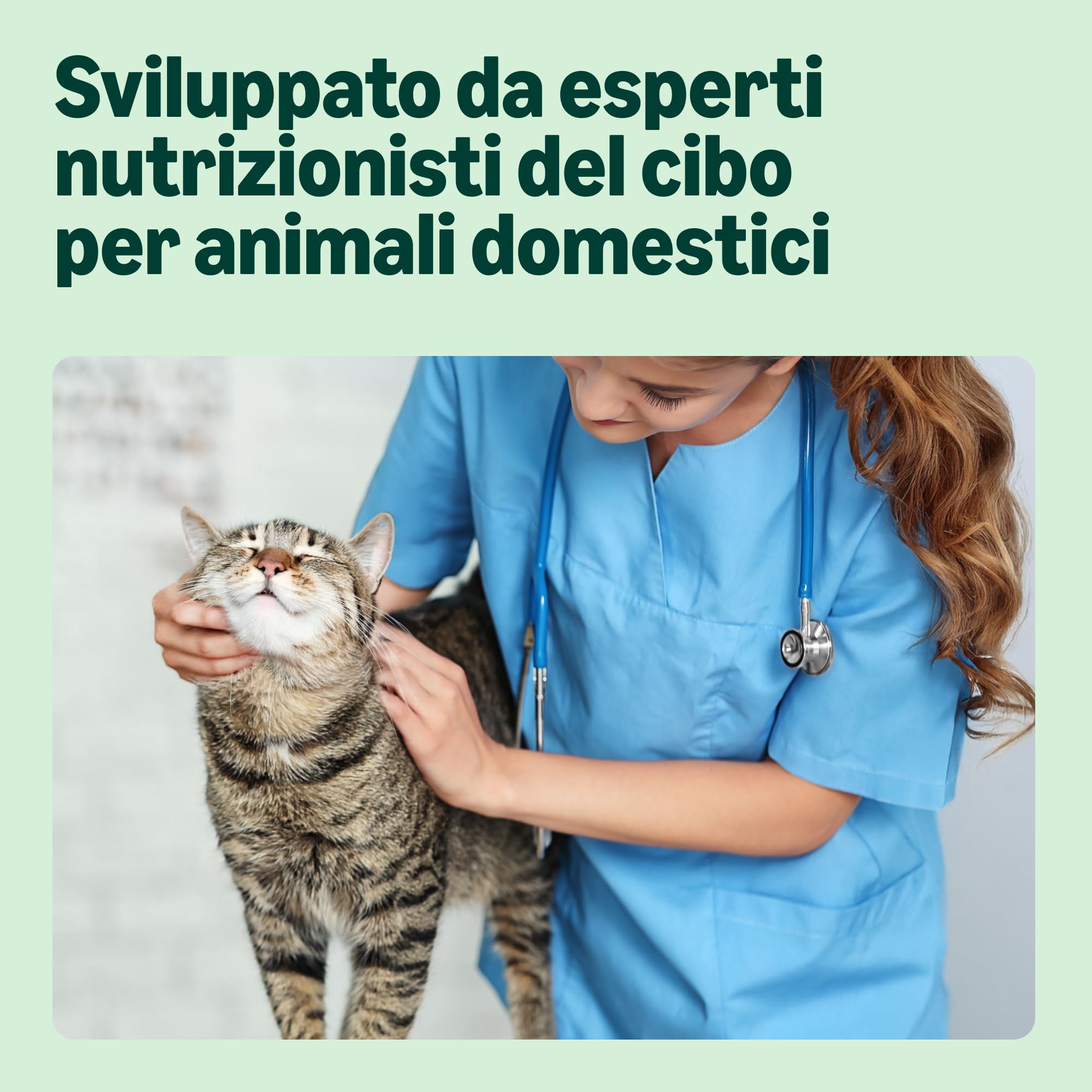 by Amazon Alimento completo per gatti adulti, Selezione mista in salsa, 4.8 kg, 48 Confezioni da 100g (Precedentemente Marchio - Lifelong)