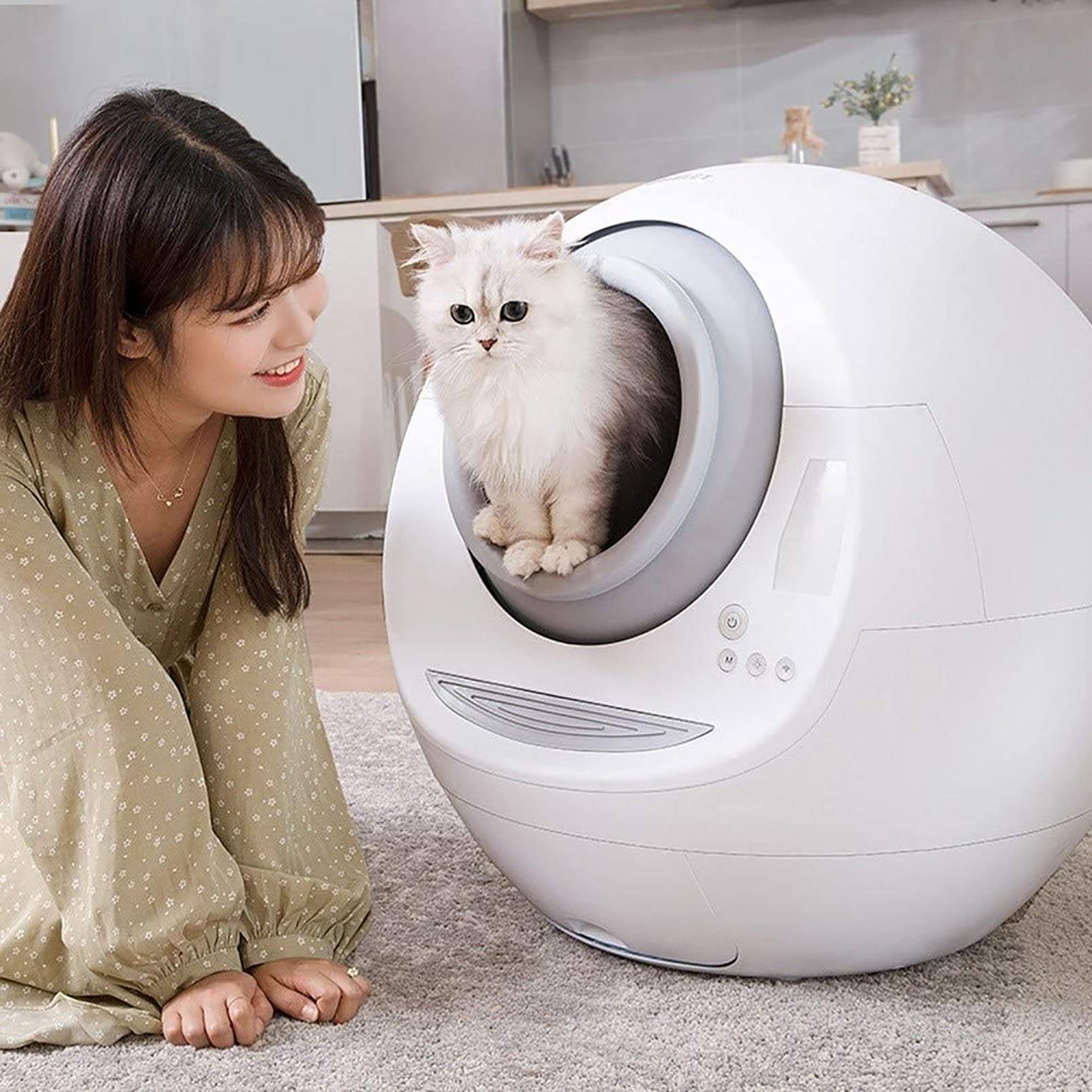Buy FGDFGDG Automatic SelfCleaning Cat Litter Box Fully enclosed