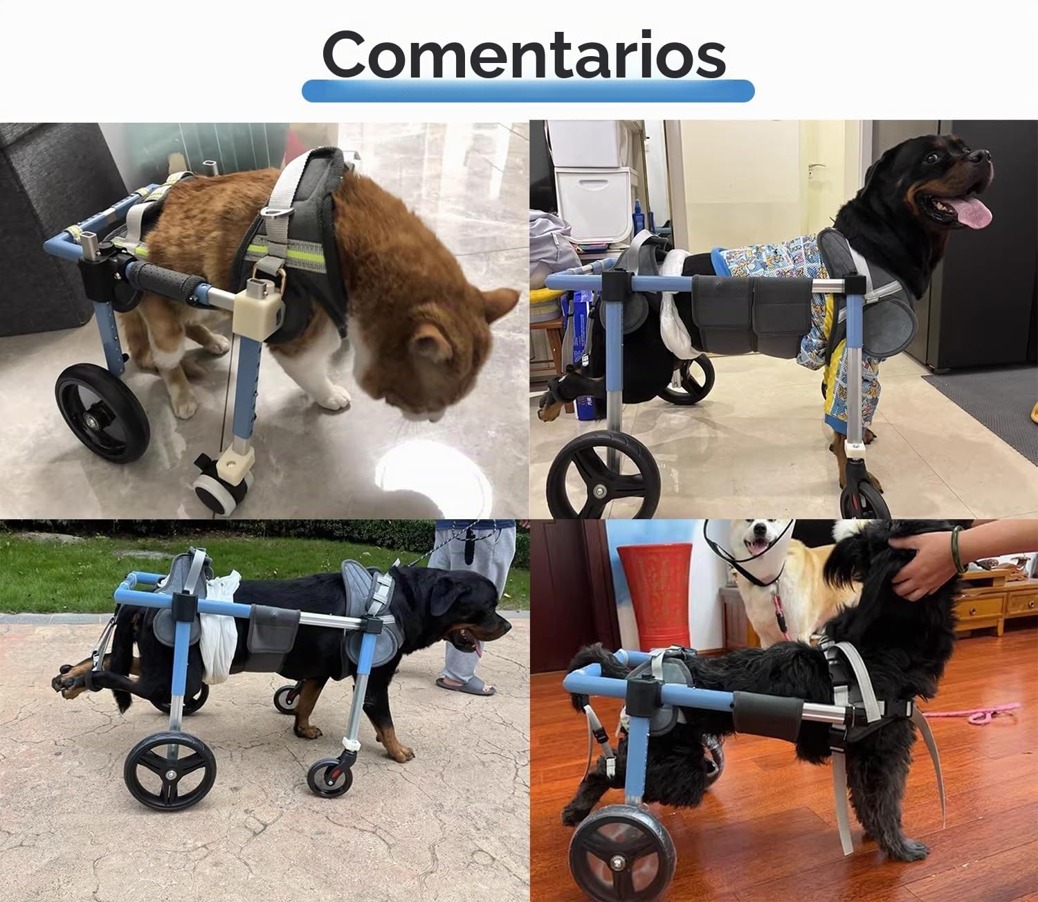 Silla Ruedas Perro Carro de Recuperación para Perros con Ruedas Ajustables de 2 o 4 Pulgadas, Carrito de Rehabilitación para Mascotas Pequeñas o Grandes con Extremidades Traseras Tallas XS a XXL,(XXL)