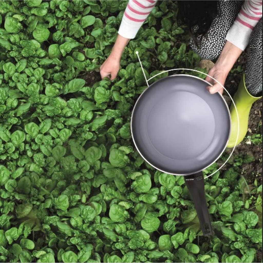 Moneta Finegres Cookware, 26cm, Gray