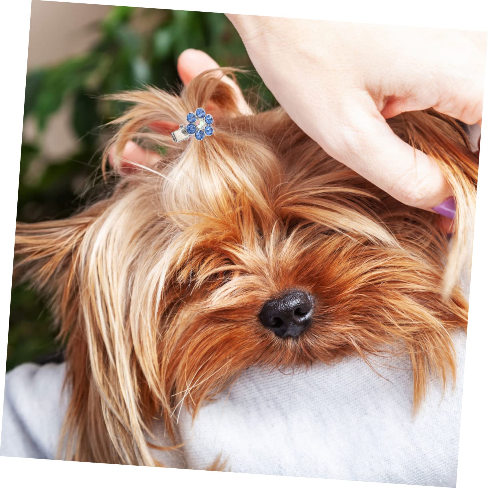 BESPORTBLE 6pezzi Fermagli Decorativi per Cani Accessori Eleganti con Testa di Cane Cristallo per Mantenere Ordine Pelo del Tuo Animale Domestico Disponibili
